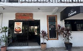 Canova Hostel & Pizza